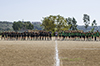 thumb_DSC_5527.jpg